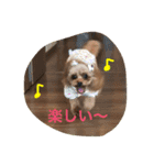 bambi_STAMP1（個別スタンプ：15）