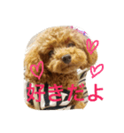 bambi_STAMP1（個別スタンプ：16）