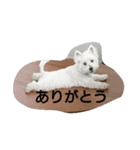 lovely monaka（個別スタンプ：8）