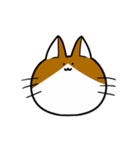 まいにち猫（個別スタンプ：2）