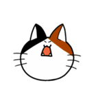まいにち猫（個別スタンプ：5）