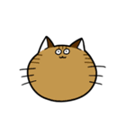 まいにち猫（個別スタンプ：6）