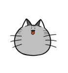 まいにち猫（個別スタンプ：7）