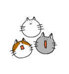 まいにち猫（個別スタンプ：8）