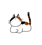 まいにち猫（個別スタンプ：11）