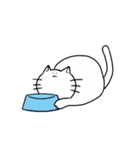 まいにち猫（個別スタンプ：37）