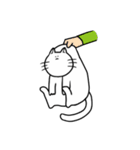 まいにち猫（個別スタンプ：38）
