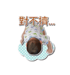 HappyDuDu（個別スタンプ：14）