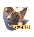おすず2（個別スタンプ：5）