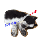 ちびボー（個別スタンプ：1）