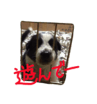 ちびボー（個別スタンプ：2）