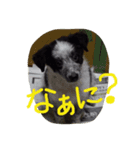 ちびボー（個別スタンプ：4）