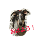 ちびボー（個別スタンプ：6）
