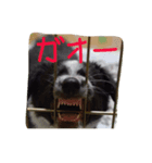 ちびボー（個別スタンプ：7）