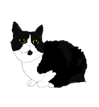 I LOVE CAT CAT CAT（個別スタンプ：3）
