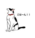 I LOVE CAT CAT CAT（個別スタンプ：4）