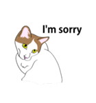 I LOVE CAT CAT CAT（個別スタンプ：7）