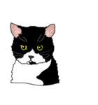 I LOVE CAT CAT CAT（個別スタンプ：11）