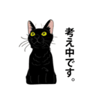 I LOVE CAT CAT CAT（個別スタンプ：14）