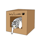 I LOVE CAT CAT CAT（個別スタンプ：15）