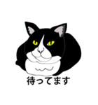 I LOVE CAT CAT CAT（個別スタンプ：16）