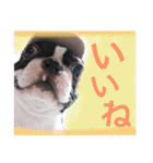 リッキースタンプ第1弾（個別スタンプ：2）