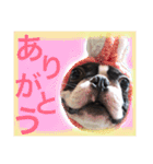 リッキースタンプ第1弾（個別スタンプ：13）
