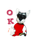 リゲルくん（個別スタンプ：1）
