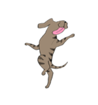 Nual COLOR（個別スタンプ：9）