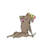 Nual COLOR（個別スタンプ：11）