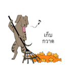Nual COLOR（個別スタンプ：16）