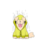Nual COLOR（個別スタンプ：21）