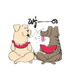 Nual COLOR（個別スタンプ：31）