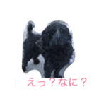 てぃあらの日常（個別スタンプ：1）