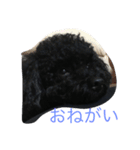 てぃあらの日常（個別スタンプ：2）