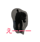 てぃあらの日常（個別スタンプ：8）