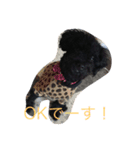 てぃあらの日常（個別スタンプ：12）