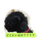 てぃあらの日常（個別スタンプ：13）