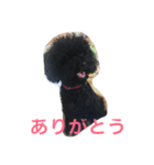 てぃあらの日常（個別スタンプ：15）
