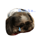 momo maron M＆M（個別スタンプ：3）