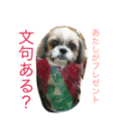 momo maron M＆M（個別スタンプ：4）