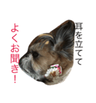 momo maron M＆M（個別スタンプ：7）