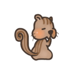 The crazy＆funny＆cute squirrel（個別スタンプ：3）