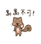 The crazy＆funny＆cute squirrel（個別スタンプ：5）