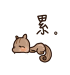 The crazy＆funny＆cute squirrel（個別スタンプ：21）