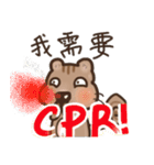 The crazy＆funny＆cute squirrel（個別スタンプ：22）