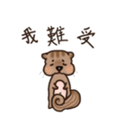 The crazy＆funny＆cute squirrel（個別スタンプ：24）