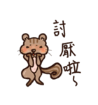 The crazy＆funny＆cute squirrel（個別スタンプ：31）