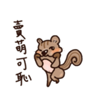 The crazy＆funny＆cute squirrel（個別スタンプ：33）