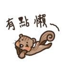 The crazy＆funny＆cute squirrel（個別スタンプ：37）